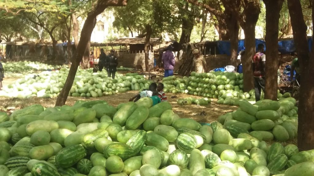 Watermelon market in Kita, southern Mali 